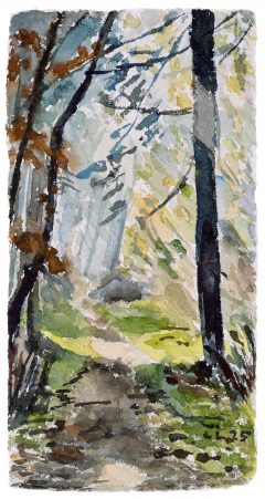 Christopher Lehmpfuhl, Lichtblick