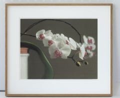 Gerhard Richter, Orchidee III
