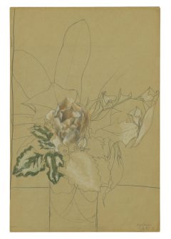 Horst Janssen, Rose