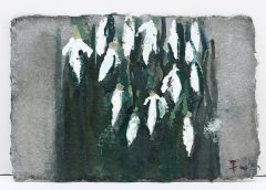 Klaus Fußmann, Schneeglöckchen