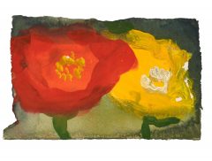 Klaus Fußmann, Mohn und Scheinmohn