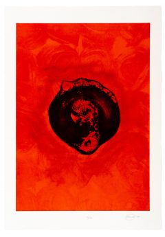 Otto Piene, Träne